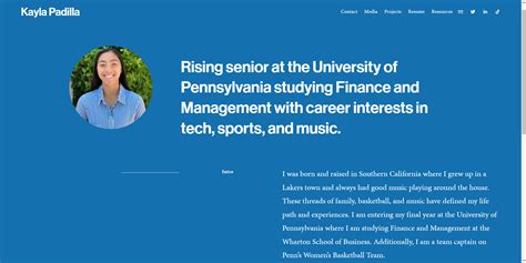 portfolio description examples