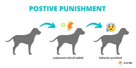 positive and negative punishment examples dogs