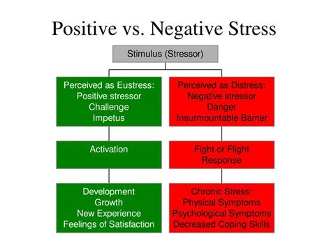 positive and negative stress examples