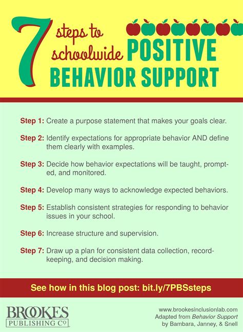 positive behavior support examples in school