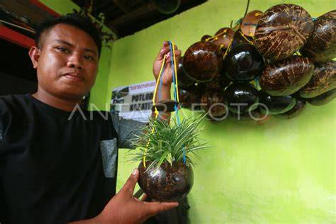 pot bunga dari batok kelapa