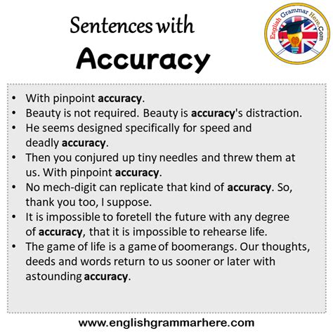 precision in a sentence for kids