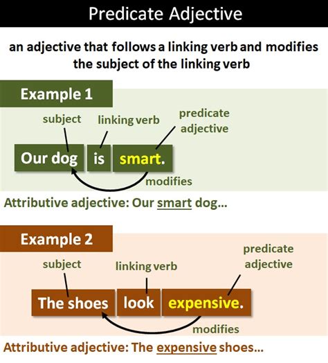 predicate adjective with example