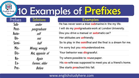 prefix ex examples sentences
