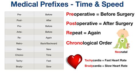prefix examples in medical terminology
