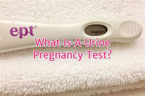 pregnancy test cpt code