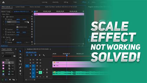 premiere pro scale keyframes not working