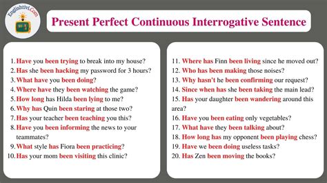 present perfect continuous tense double interrogative sentences examples