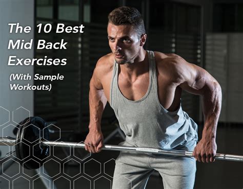 primary back exercises