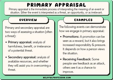 primary model meaning