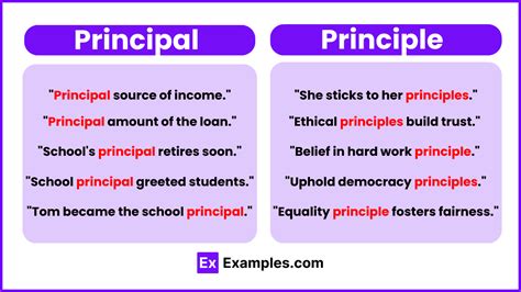 principal and principle meaning in english with example