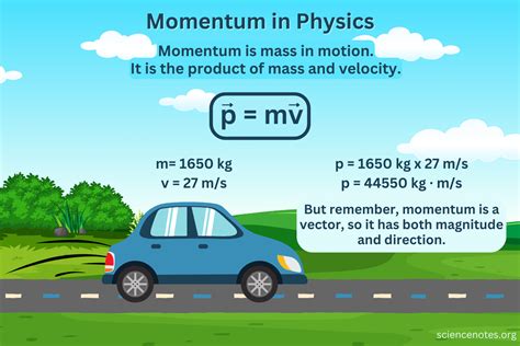 principle of momentum in physics