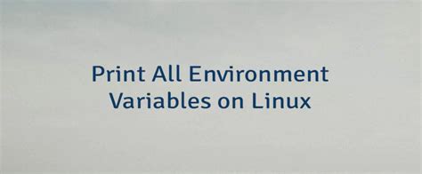 print all env variables linux