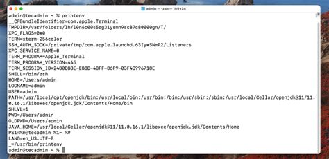 print all env variables mac