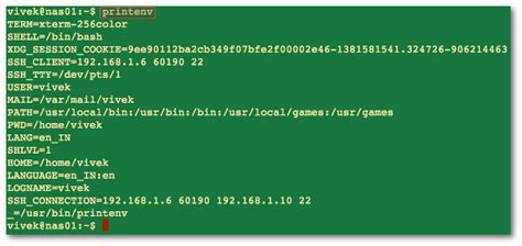 print all env variables terminal