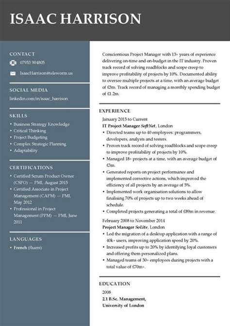 problem solving skills resume