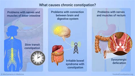 problems caused by chronic constipation