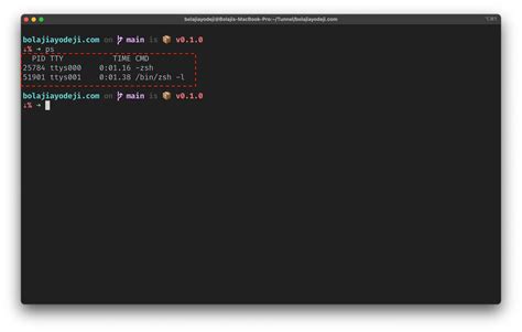 process check in linux