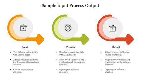 process input output