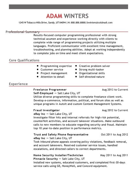 professional profile on resume examples