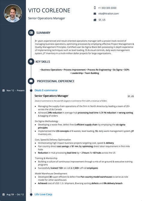 professional summary cv examples for experienced