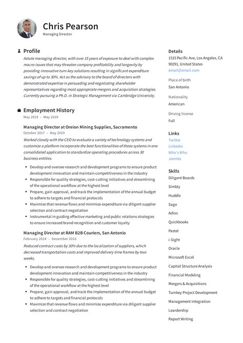 professional summary examples for directors
