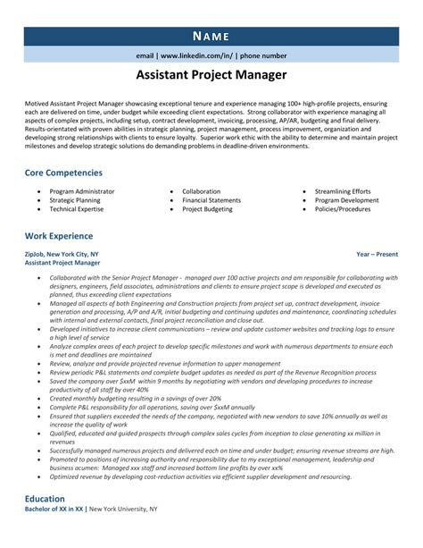 professional summary for assistant project manager