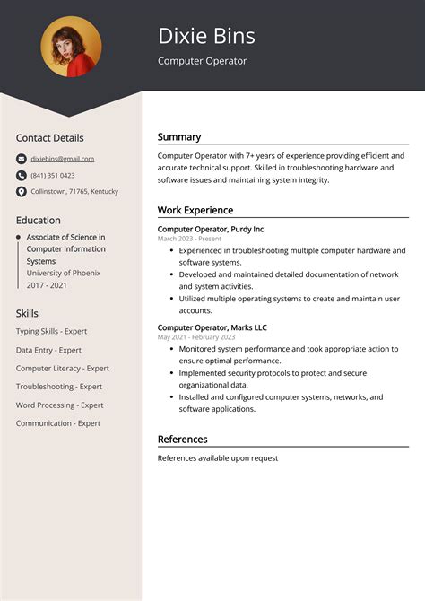 professional summary in resume for computer operator
