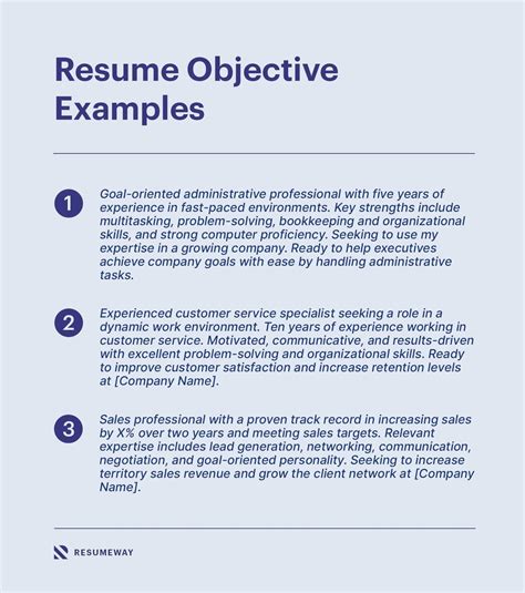 professional summary objective statement