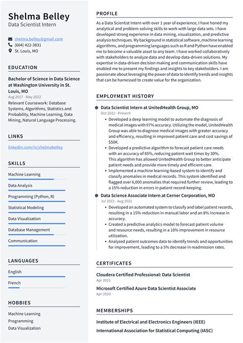 professional summary of a data scientist