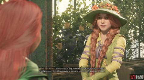 Professor Garlick Assignment 1 Walkthrough