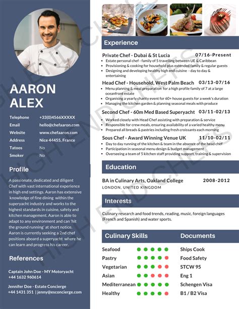 profile summary examples for chef