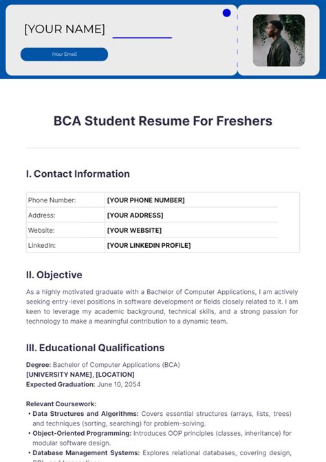 profile summary for bca students
