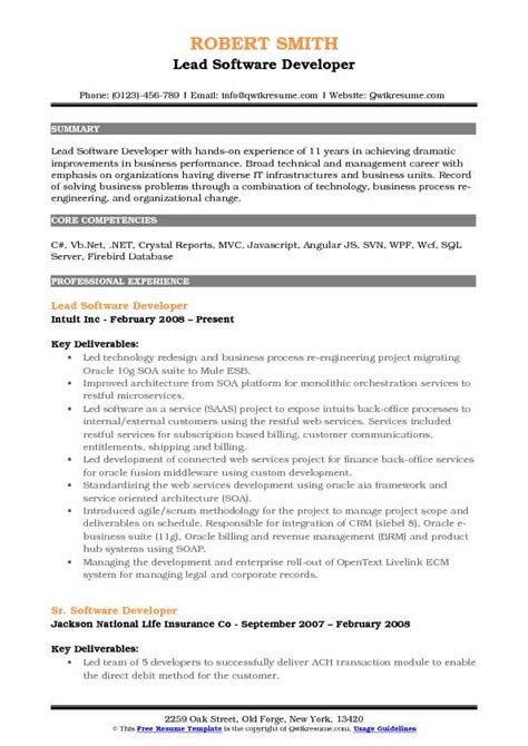 profile summary for lead software developer