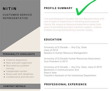 profile summary in naukri for experienced examples