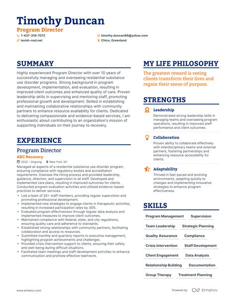 program director resume examples