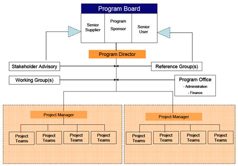 program governance structure example