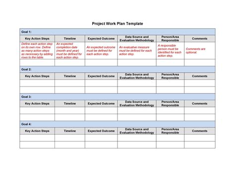 program plan template word