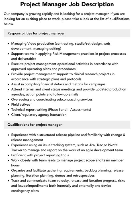 program project manager job description
