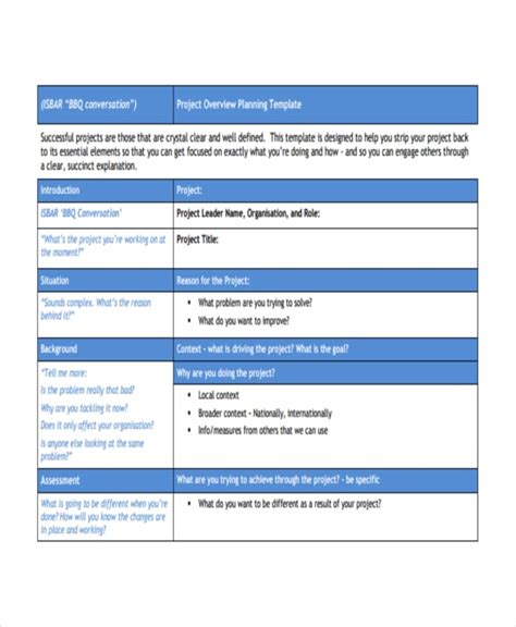 program summary example