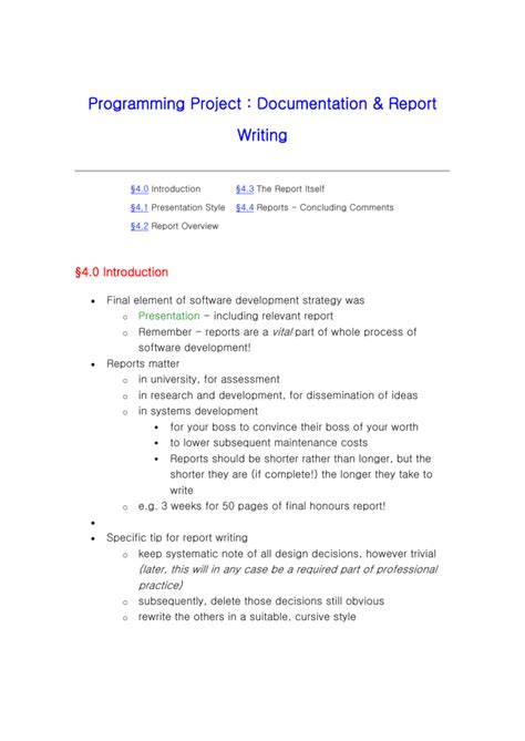 programming project report example