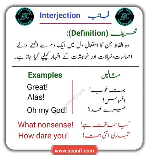 project based meaning in urdu