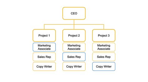 project based organizational chart