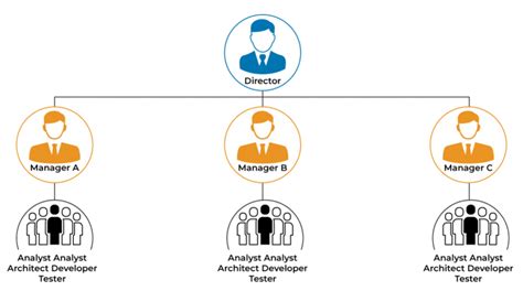 project based organizational structure disadvantages