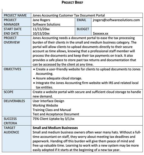 project brief example