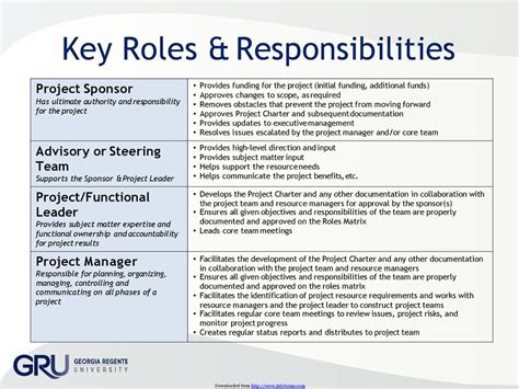 project charter roles and responsibilities example