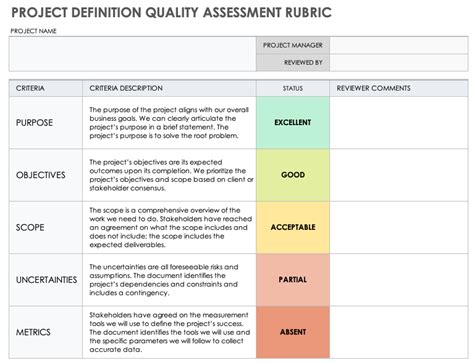 project definition report example