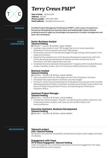 project details in cv sample