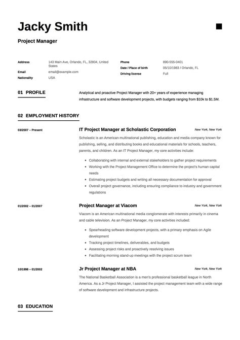 project details in resume examples