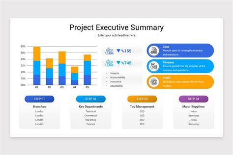 project executive summary slide template